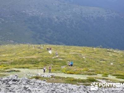 Senderismo Sierra de Guadarrama - Mujer Muerta; turismo rural; turismo madrid